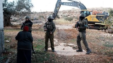 جيش الاحتلال يقتلع مئات أشجار الزيتون في قريوت جنوب نابلس متذرّعًا بـ"إجراءات أمنيّة"