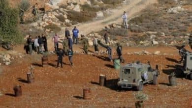 مستوطنون يحرثون أراضي في عقربا ويانون جنوب نابلس