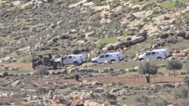 مستوطنون يصعدون اعتداءاتهم على المغير والاحتلال يعتقل متضامنين أجانب