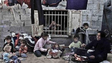 اليونيسف وبرنامج الأغذية العالمي: وقف إطلاق النار في غزة ما زال هشًا والتحسن في الأوضاع الإنسانية نسبي