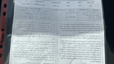 الاحتلال يقتلع مئات أشجار الزيتون ويخطر 20 منزلاً بوقف البناء في تقوع