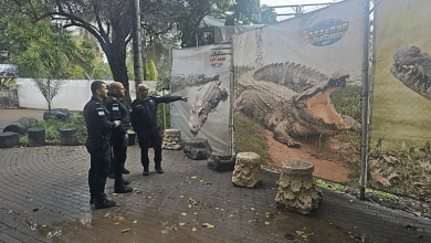 الإعلام العبري: بن غفير يبدأ الخطوة الأولى لإنشاء معتقل "التماسيح" للأسرى