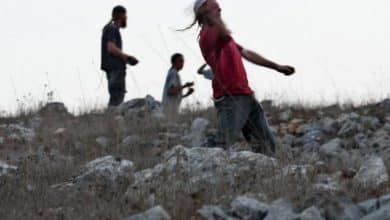 مستوطنون يعتدون على مواطنين في خربة الحمة بالأغوار الشمالية