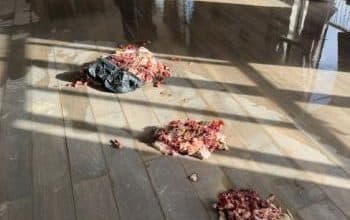 قرية الشباب في مواجهة "قذارة" الاستيطان