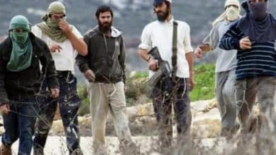 مستوطنون يهاجمون أهالي قصرة جنوب نابلس