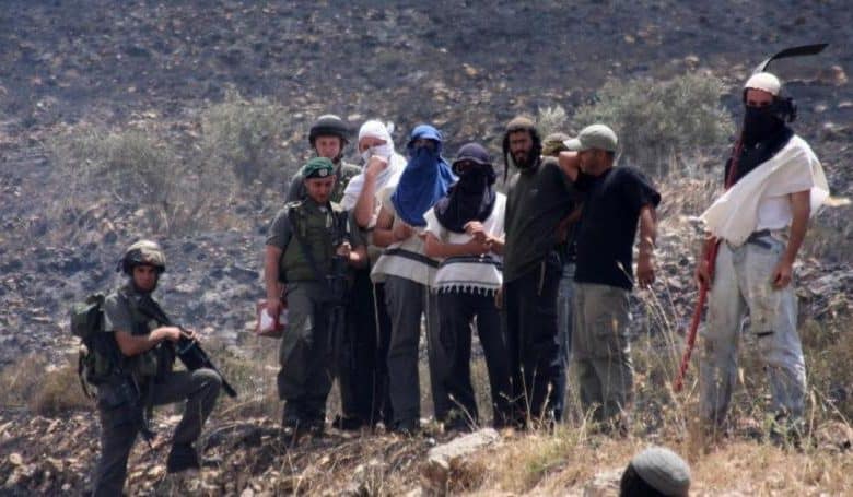 مستوطنون يهاجمون خيام المواطنين في الأغوار الشمالية