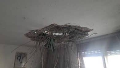 إصابات مباشرة للصواريخ الإيرانية في الاراضي المحتلة.. والإعلام العبري يقر بوقوع أضرار