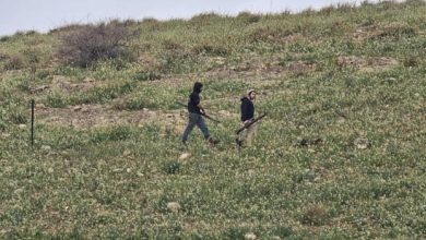 مستوطنون يسيجون أراض في عين الحلوة بالأغوار الشمالية