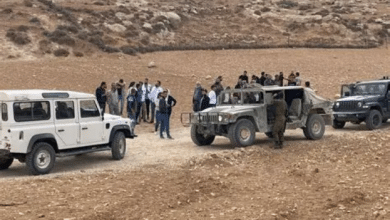 إصابة مُسنة في اعتداء للمستوطنين جنوب الخليل