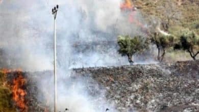 مستوطنون يحرقون منشآت زراعية شمال شرق القدس