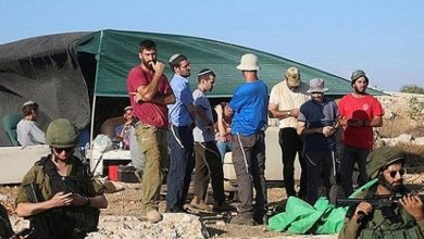 مستوطنون يصيبون مسنة وأولادها ويسرقون 30 رأسا من الأغنام شرق الخليل
