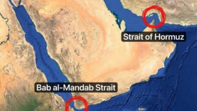 مصدر عسكري إيراني: إيران قادرة على خلق تهديد موثوق فيه في مضيق باب المندب