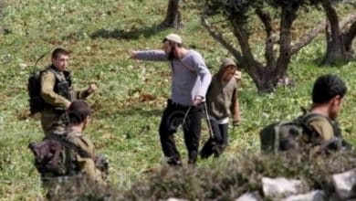 مستوطنون يعتدون على شابين في دير بلوط غرب سلفيت