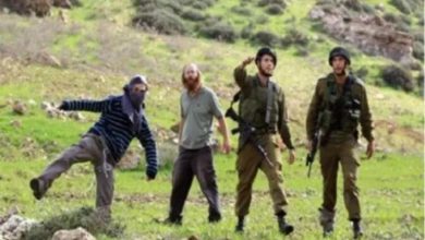 مستوطنون يحرقون غرفة زراعية في بيت فوريك شرق نابلس