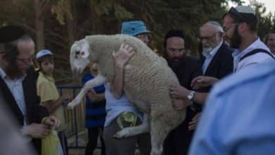 مستغلة استمرار إغلاقه: جماعات "الهيكل" تطلق حملة متصاعدة لفرض "قربان الفصح" داخل المسجد الأقصى