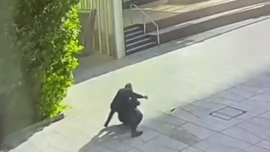 إصابة مستوطنين في عمليتي طعن ودهس.. وتصعيد للاعتداءات في الضفة