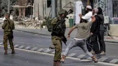 مستوطنون يهاجمون مركبات المواطنين جنوب نابلس مستوطنون يهاجمون مركبات المواطنين جنوب نابلس