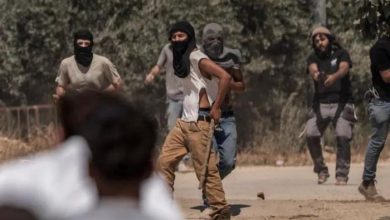 مستوطنون مستوطنين