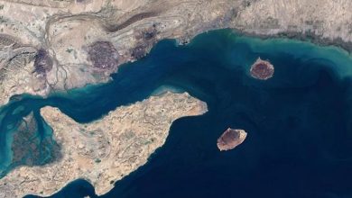 غوتيريش: اضطرابات مضيق هرمز تهدد بأزمة غذاء عالمية