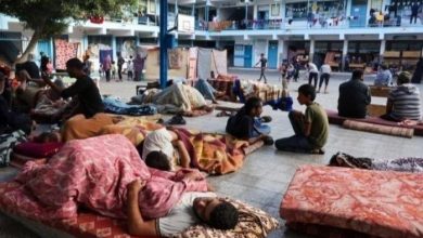 هيئات دولية تحذر من تزايد انعدام الأمن الغذائي بسبب الحرب