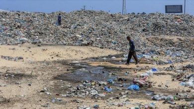 وزير الصحة: غزة على حافة تفشي الأوبئة مع تصاعد خطر القوارض