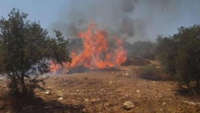 مستوطنون يحرقون غرفة زراعية في أبو فلاح شمال شرق رام الله