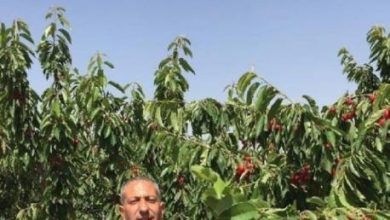 نقل الأسير سامر العربيد إلى عزل "جانوت" وسط مخاوف على حياته