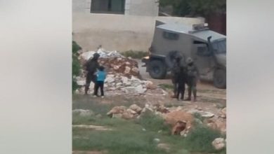 فرانشيسكا ألبانيز: "الجيش الإسرائيلي أكثر الجيوش انحطاطا"