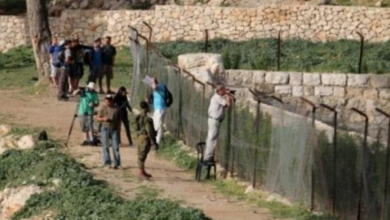 مستوطنون يسيجون أراضي في قرية الجانية غرب رام الله