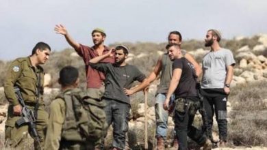 مستوطنون يهاجمون رعاة الأغنام والاحتلال يعتقل مواطنين في مسافر يطا