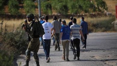 إصابة ثلاثة مواطنين في هجوم للمستوطنين على بلدة تقوع