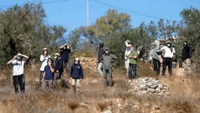 مستوطنون يقتحمون تجمع وادي أبو الحيات غرب العوجا