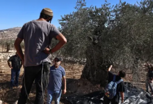 مستوطنون يعتدون على مزارعين في بيت إكسا شمال القدس