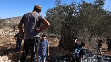 مستوطنون يعتدون على مزارعين في بيت إكسا شمال القدس