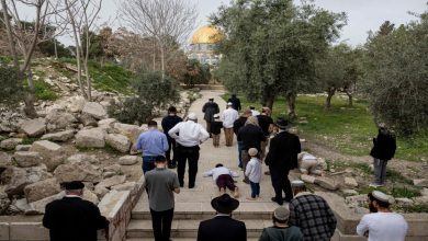 محافظة القدس: 8 محاولات لإدخال القرابين إلى المسجد الأقصى