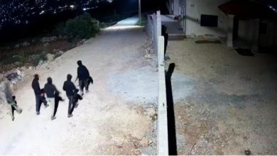 مستوطنون يهاجمون عدة منازل في بيتا جنوب نابلس