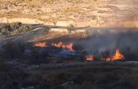 الاحتلال يحرق محاصيل زراعية في المغير شمال شرق رام الله