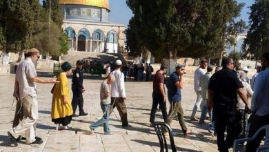الاحتلال يعتقل مواطنة ونجلها من باحات "الأقصى"