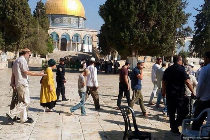 الاحتلال يعتقل مواطنة ونجلها من باحات "الأقصى" الاحتلال يعتقل مواطنة ونجلها من باحات "الأقصى"