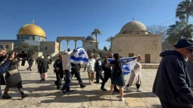 عقب دعوات تحريضية من المستوطنين .. محافظة القدس تحذّر من اقتحام واسع للمستوطنين للمسجد الأقصى منتصف الشهر الجاري والذي يصادف يوم جمعة