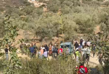 مستوطنون يهاجمون المزارعين ويجبرونهم على مغادرة أراضيهم شرق رام الله