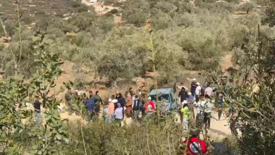 مستوطنون يهاجمون المزارعين ويجبرونهم على مغادرة أراضيهم شرق رام الله