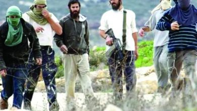 مستوطنون يقتحمون تجمعا لعائلات مُهجرة من عرب المليحات شمال أريحا
