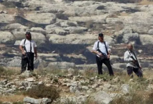 3 إصابات جراء اعتداء المستوطنين عليهم في الأغوار الشمالية