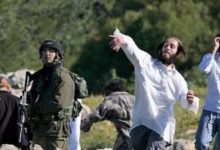 مستوطنون يهاجمون عزبة على أطراف عبوين شمال غرب رام الله