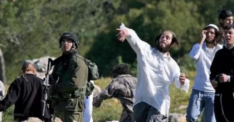 مستوطنون يهاجمون عزبة على أطراف عبوين شمال غرب رام الله مستوطنون يهاجمون عزبة على أطراف عبوين شمال غرب رام الله