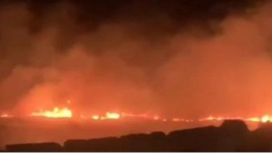 مستوطنون يعتدون على المواطنين ويحرقون أراضي زراعية في المسعودية شمال غرب نابلس