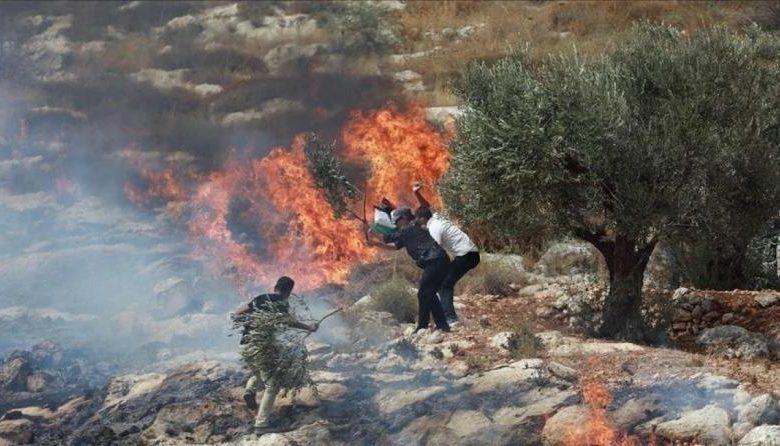 مستوطنون يحرقون أراضي زراعية في دوما جنوب نابلس