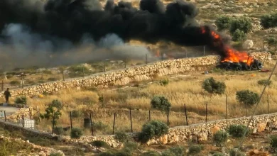 مستوطنون يحرقون أراضي زراعية جنوب نابلس مستوطنون يحرقون أراضي زراعية جنوب نابلس