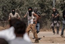 مستوطنون يحرقون أراضي ومركبات ويعتدون على منازل في جيت شرق قلقيلية